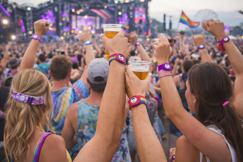 Festival Wristband Tracker